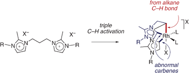 Graphical abstract: Rhodium-mediated activation of an alkane-type C–H bond
