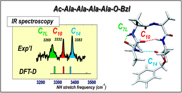 Graphical abstract: Gas phase folding of an (Ala)4 neutral peptide chain: spectroscopic evidence for the formation of a β-hairpin H-bonding pattern