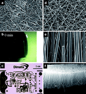 Graphical abstract: Nanostructured carbon electrodes