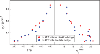 Graphical abstract: Volumetric properties of human islet amyloid polypeptide in liquid water