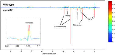 Graphical abstract: Metabolic profiling of Pseudomonas aeruginosa demonstrates that the anti-sigma factor MucA modulates osmotic stress tolerance