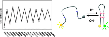 Graphical abstract: A pH-driven DNA switch based on the A+·G mispair