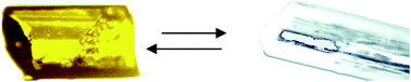 Graphical abstract: Reversible crystal to crystal transformation of a hydrogen-bonded polymer to another in a solid-gas reaction along with morphology change: nano-particles to nano-rods conversion