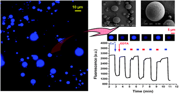 Graphical abstract: Synthesis of a new fluorescent conjugated polymer microsphere for chemical sensing in aqueous media