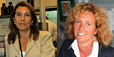 Graphical abstract: Metal-catalysed polymerisation