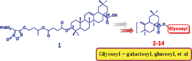 Graphical abstract: Synthesis and anti-human hepatocellular carcinoma activity of new nitric oxide-releasing glycosyl derivatives of oleanolic acid