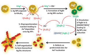 Graphical abstract: Galvanic replacement mediated transformation of Ag nanospheres into dendritic Au–Ag nanostructures in the ionic liquid [BMIM][BF4]
