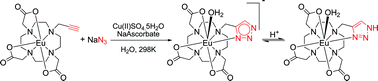 Graphical abstract: Click chemistry with lanthanide complexes: a word of caution