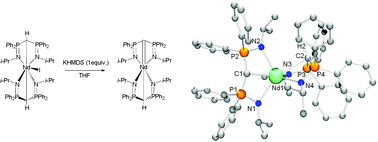 Graphical abstract: First neodymium(iii) alkyl-carbene complex based on bis(iminophosphoranyl) ligands