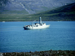 Graphical abstract: Polychlorinated biphenyls, organochlorine pesticides and polycyclic aromatic hydrocarbons in a one-off global survey of bivalves