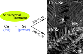 Graphical abstract: Design and growth of dendritic Cu2−xSe and bunchy CuSe hierarchical crystalline aggregations