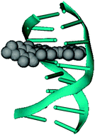 Graphical abstract: On the selective detection of duplex deoxyribonucleic acids by 2,1,3-benzothiadiazole fluorophores