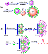 Graphical abstract: Highly enhanced electrochemiluminescence of novel gold/silica/CdSe-CdS nanostructures for ultrasensitive immunoassay of protein tumor marker