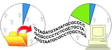 Graphical abstract: Beyond the bounds of orthology: functional inference from metagenomic context