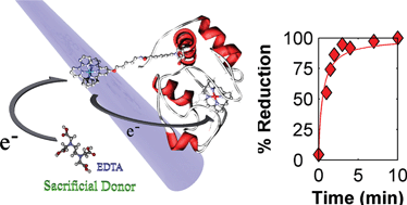 Graphical abstract: Synthesis and room temperature photo-induced electron transfer in biologically active bis(terpyridine)ruthenium(ii)–cytochrome c bioconjugates and the effect of solvents on the bioconjugation of cytochrome c