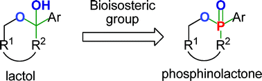 Graphical abstract: Drug discovery: phosphinolactone, in vivo bioisostere of the lactol group