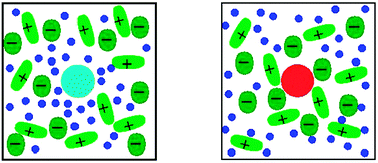 Graphical abstract: Hydrophilicity, the major determining factor influencing the solvation environment of protic ionic liquids