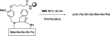 Graphical abstract: Development of a new microwave-assisted cleavable backbone amide linker (BAL): a comparative study