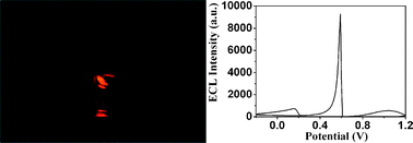 Graphical abstract: A catalytic nanostructured cobalt oxide electrode enables positive potential operation for the cathodic electrogenerated chemiluminescence of Ru(bpy)32+ with dramatically enhanced intensity