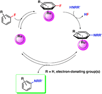 Graphical abstract: Catalytic SNAr reaction of non-activated fluoroarenes with amines via Ru η6-arene complexes