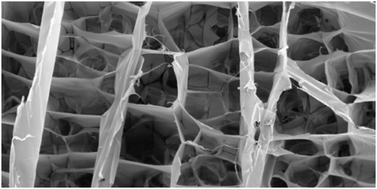 Graphical abstract: Elastin-based materials