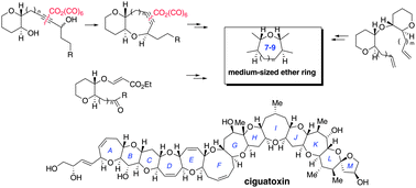 Graphical abstract: Ciguatoxin: developing the methodology for total synthesis