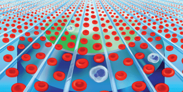 Graphical abstract: Sheathless inertial cell ordering for extreme throughput flow cytometry