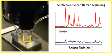 Graphical abstract: Optofluidic platforms based on surface-enhanced Raman scattering