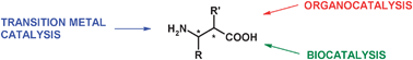 Graphical abstract: Recent advances in the catalytic asymmetric synthesis of β-amino acids