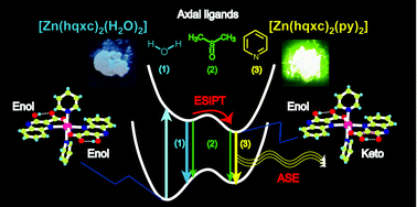 Graphical abstract: Excited state intramolecular proton transfer (ESIPT) in six-coordinated zinc(ii)-quinoxaline complexes with ligand hydrogen bonds: their fluorescent properties sensitive to axial positions