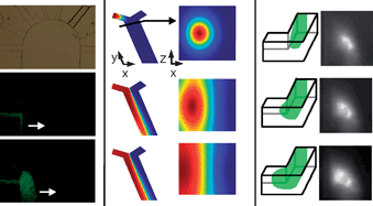 Graphical abstract: Pressure-driven laminar flow switching for rapid exchange of solution environment around surface adhered biological particles