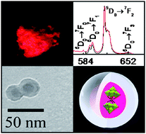 Graphical abstract: Lanthanopolyoxotungstates in silica nanoparticles: multi-wavelength photoluminescent core/shell materials