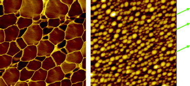 Graphical abstract: Cellular pattern separation into nanodroplets