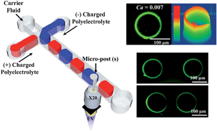 Graphical abstract: Multilayer deposition on patterned posts using alternating polyelectrolyte droplets in a microfluidic device