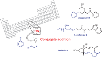 Graphical abstract: Synthetic applications of rhodium catalysed conjugate addition