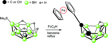 Graphical abstract: Synthesis and electrochemistry of some ferrocenyl substituted dicarba- and tricarbaborane compounds