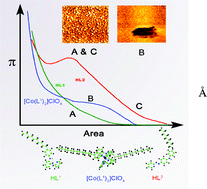 Graphical abstract: Tailor made synthesis of amphiphilic azoaromatics via regioselective C–N bond fusion. Comparative studies of surface properties of the two positional isomers and cobalt complexes