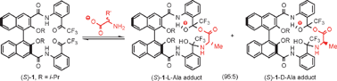 Graphical abstract: Chiral discrimination of α-amino acids with a C2-symmetric homoditopic receptor