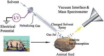 Graphical abstract: In situ arsenic speciation on solid surfaces by desorption electrospray ionization tandem mass spectrometry