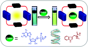 Graphical abstract: Functional cyclophanes: Promising hosts for optical biomolecular recognition