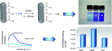 Graphical abstract: A sensitive and practical fluorimetric test for CNT acidic site determination