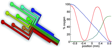 Graphical abstract: Generation of oxygen gradients with arbitrary shapes in a microfluidic device