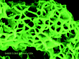 Graphical abstract: In situ template route for synthesis of porous Ni12P5 superstructures and their applications in environmental treatments