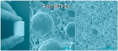 Graphical abstract: Hybrid foams, colloids and beyond: From design to applications
