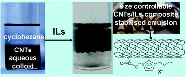 Graphical abstract: Ionic liquids assisted formation of an oil/water emulsion stabilised by a carbon nanotube/ionic liquid composite layer