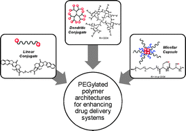 Graphical abstract: PEGylated polymers for medicine: from conjugation to self-assembled systems