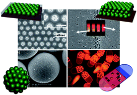 Graphical abstract: Biofunctional colloids and their assemblies