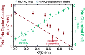 Graphical abstract: Sodium distribution in mixed alkali K–Na metaphosphate glasses
