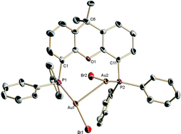 Graphical abstract: Gold(i) halide complexes of bis(diphenylphosphine)diphenyl ether ligands: a balance of ligand strain and non-covalent interactions