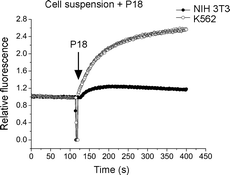 Graphical abstract: Anticancer mechanism of peptide P18 in human leukemia K562 cells